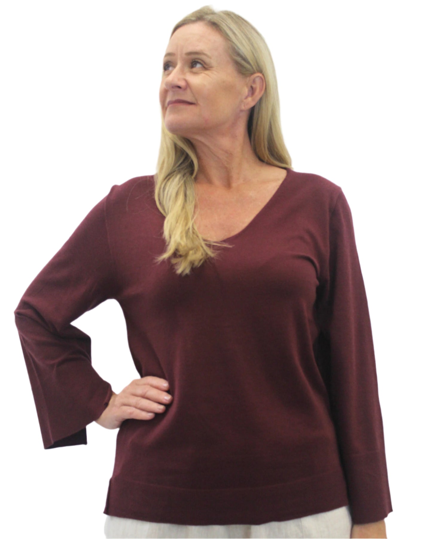 Silver Wishes Cotton Blend top